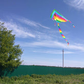 Long Tail Rainbow Pride Kite